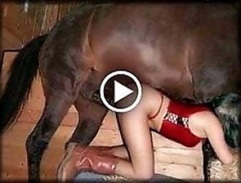 Woman animal porn