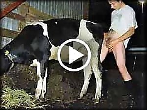 Hayvanli porno video izle