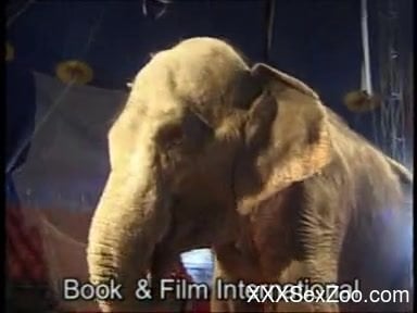 Elephantxxx - Serious animal porn zoophilia with a blonde and an Elephant - XXXSexZoo.com