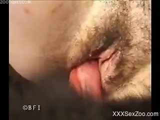 Severe pussy fuck zoophilia for busty brunette woman in heats