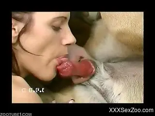 Women filmed when dealing dog dicks in their mouths and pussies
