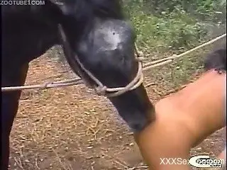 Strong scenes of outdoor horse shagging with women addicted to...