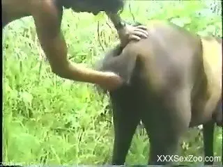 Classic zoophilia scenes with addicted to porn models