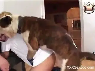 Strong zoophilia home sex with needy amateur women