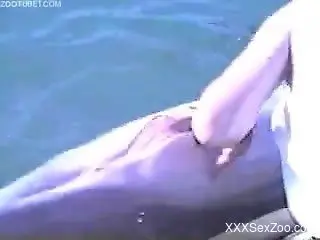 Animal porn in marine zoophilia webcam show
