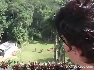 Black dress brunette fucks a big-dicked horse