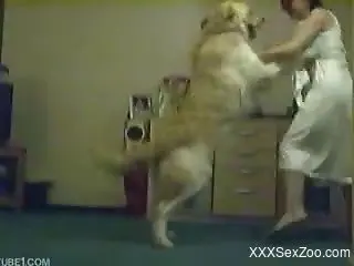 Horny dog jumps on top of a girl in a white dress