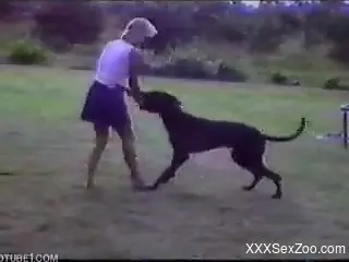Threesome with a big-dicked black dog during a picnic