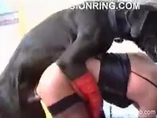 Green hair perv gets banged by her big black dog