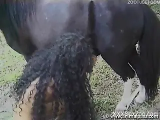 Red panties dark-skinned brunette sucking a dog cock