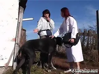 Redhead gets her pussy licked by a black dog outdoors