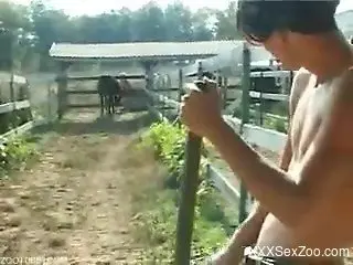 Blonde and brunette sharing a dog's meaty cock