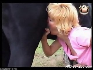 Blondes and brunettes sucking horse cocks outdoors