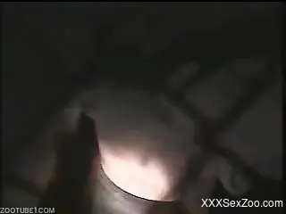 Close-up shots of bestial fucking, recorded in the dark