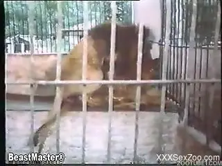 80s animality action with a sexy babe and a pony