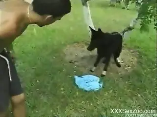 Curvy ass wife forced to have sex with the dog too