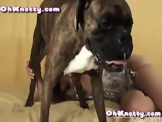 Hot chicks filmed when having sex with animals