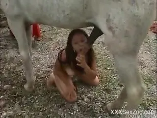 Serious home porn with the horse in zoophilia xxx