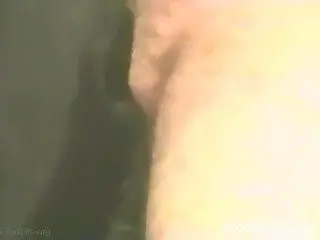 Black dog gets nicely screwed by perverted zoophile