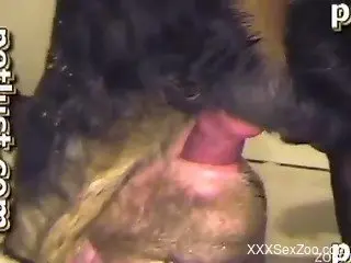 Young dog gets face-fucked a cock-swallowing zoophile