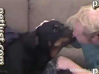 Angry doggy with massive meaty cock in the family of zoophiles
