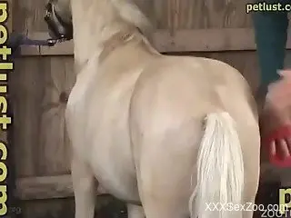 Owner pounds his small pony in the foggy style pose as he love