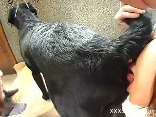 Two Japanese chicks are enjoying nasty bestiality sex with a dog