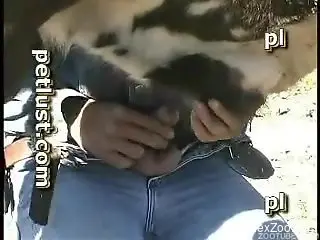 Farmer in tight jeans anally fucks a cow in doggy style pose