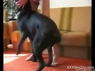 Trained black doggy and filthy zoofil in amateur bestiality