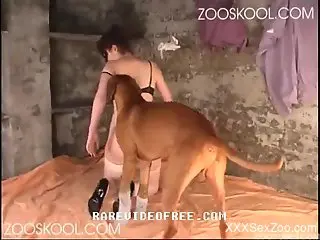 Masked zoofil slut sucks her dog and gets impaled in Animal Porn