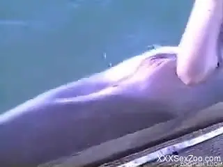 Hole of sea animal is gently stimulated by curios zoophile