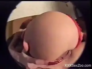 Houndâ€™s prick inside moist pussy drives woman to orgasms