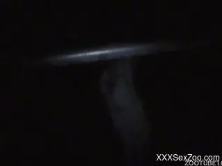 Big dog fucks slender girl outdoors at midnight
