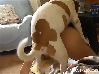 Dog quickly finds welcoming asshole of its owner