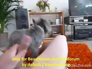 Amateur home zoo with woman calling her puppy for some oral sex