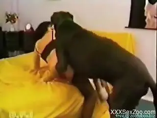 Large dog fucks woman in lingerie without mercy