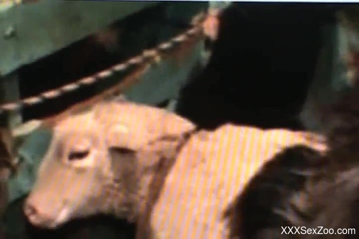 Xxx Vedii Animal Vs Ladki - Hot goat sex zoo scenes in brutal manners - XXXSexZoo.com