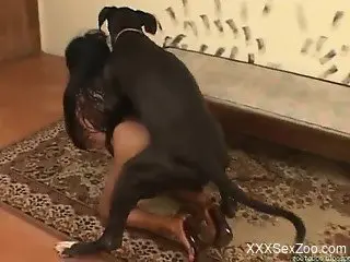 Tanned woman enjoys full dog cock in smashing zoo XXX