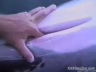 Man with huge palm sticks hard fingers in a tight crack of a r...