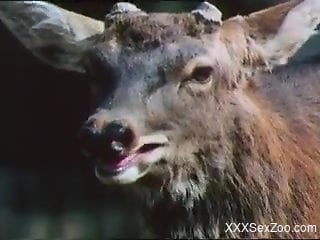 Close-up shots of mesmerizing-looking animal boners