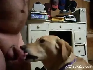 Chubby dude with a cock ring gets a nice blowjob