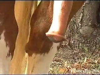 Horny horse showing off his cock, shamelessly in public