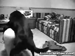 B&W security cam video showing hardcore bestiality