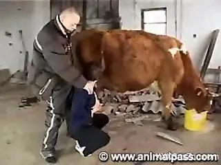 Busty slut sucks hubby and the bull in kinky zoo scenes