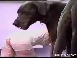 Sexy slut fucked by the dog in her hairy pussy and mouth