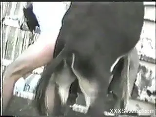 Donkey fucks tight man in the ass and fills him with sperm