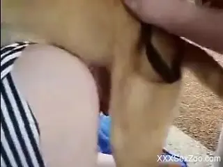 Deep doggy style dog porn for the horny wife