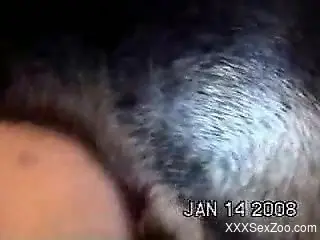 Seductive housewife getting fucked hard on all fours