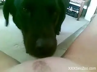 Cunnilingus video with a very eager black dog