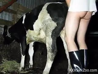 Skinny dude in leather boots fucks a kinky cow
